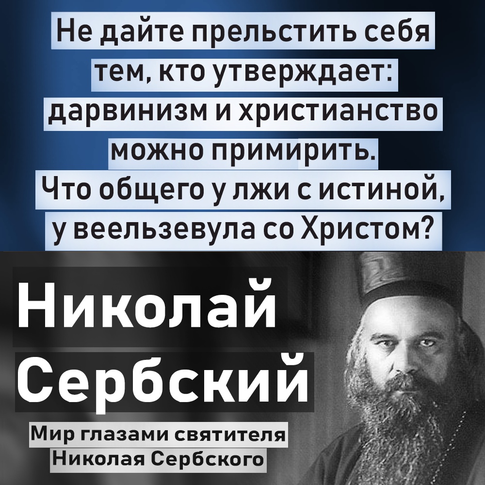 y4nYqYKZ2vM.jpg
