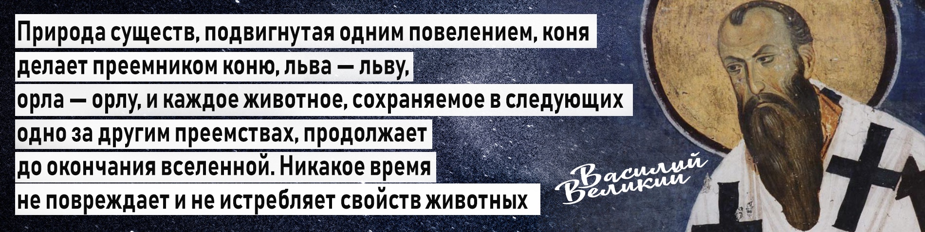 YYpGXHCPVlk.jpg