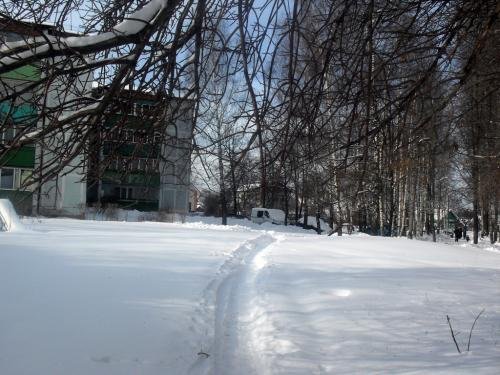 SDC11193.jpg