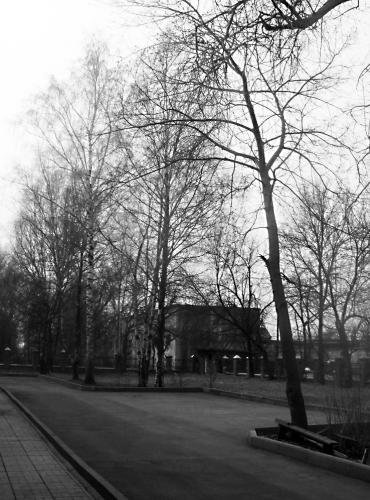 SDC12420.jpg