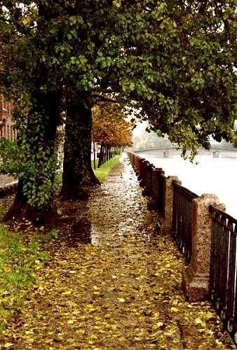 Untitled-Scanned-326.jpg