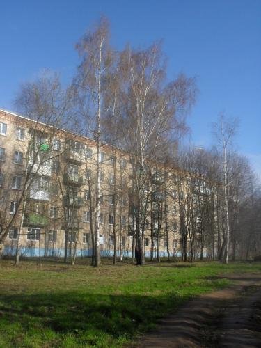 SDC12478.jpg