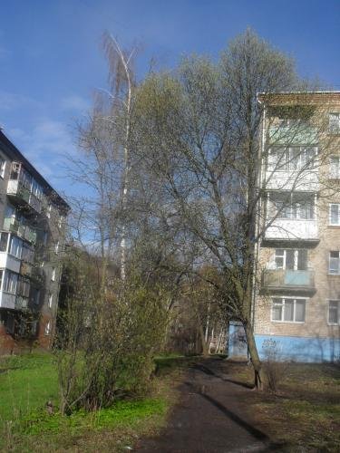 SDC12479.jpg