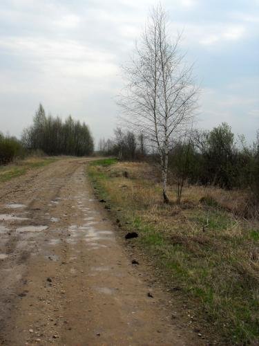SDC12740.jpg