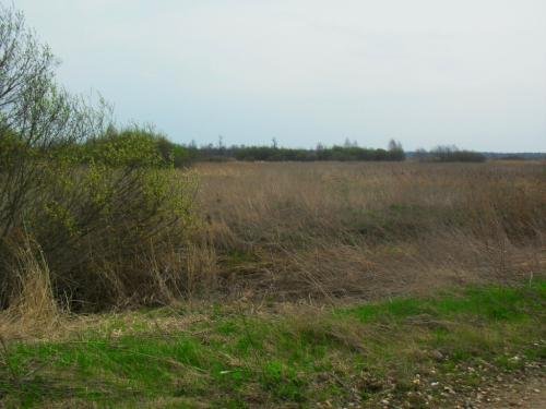 SDC12807.jpg