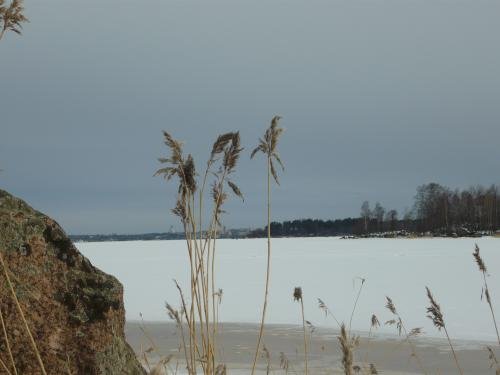 P1000394.jpg