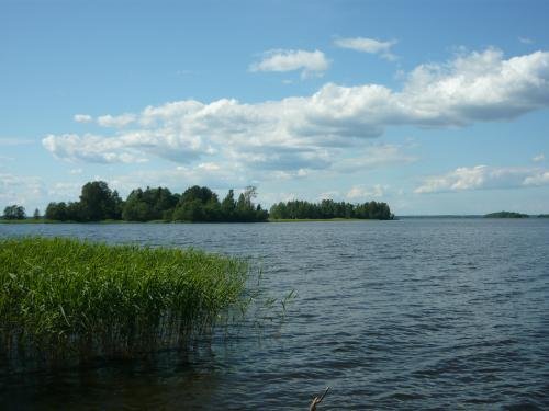 P1000791.jpg