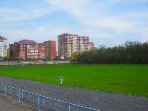 SDC12883.jpg