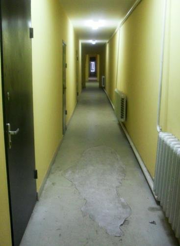 SDC12896.jpg