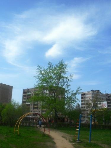 SDC12930.jpg