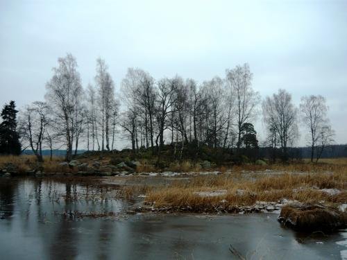 P1010228.jpg