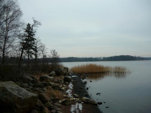 P1010267.jpg