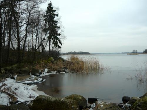 P1010242.jpg
