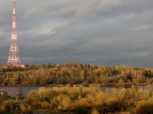P1000533.jpg