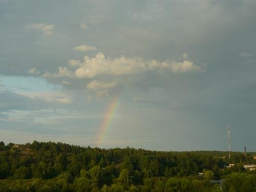 P1000939.jpg
