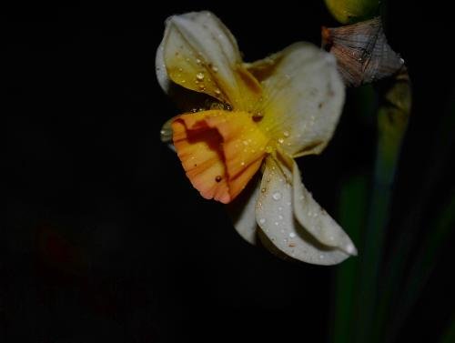 DSC_0179.jpg