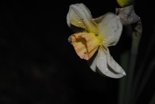 DSC_0179.jpg