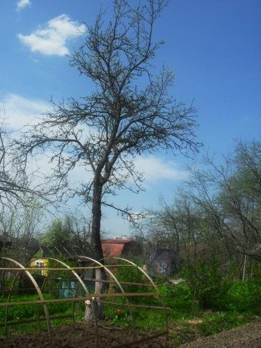 SDC13008.jpg