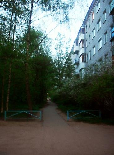 SDC13031.jpg