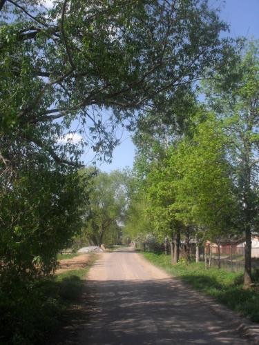 SDC13086.jpg