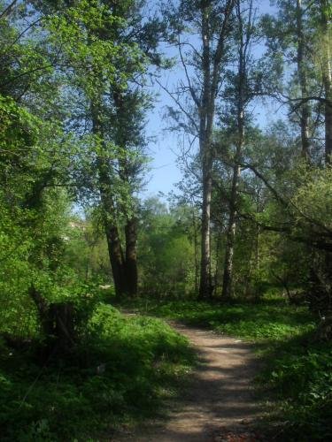 SDC13118.jpg