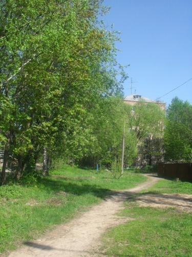 SDC13065.jpg