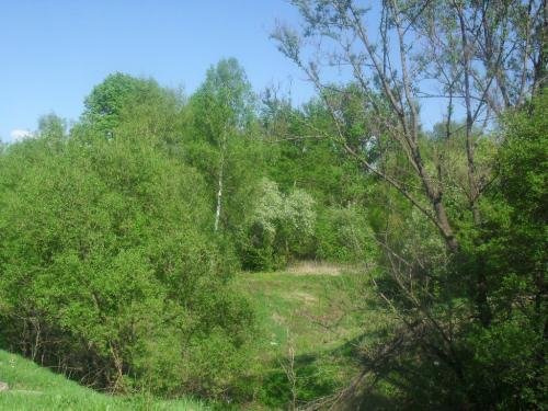 SDC13110.jpg