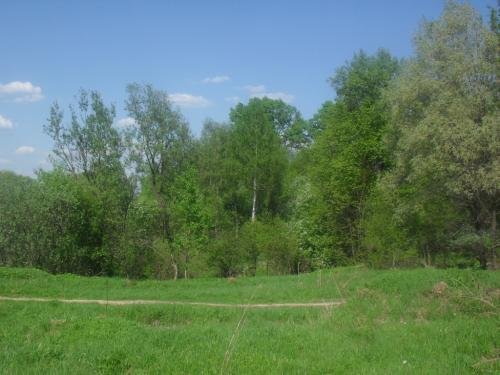 SDC13109.jpg