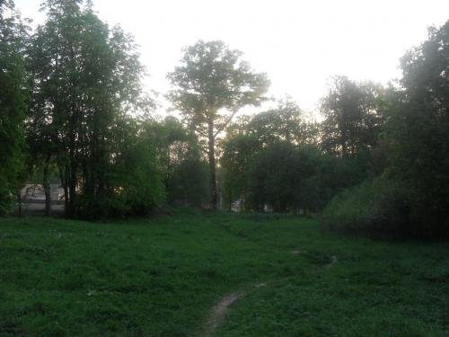 SDC13243.jpg