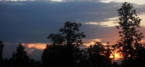 SDC13460.jpg
