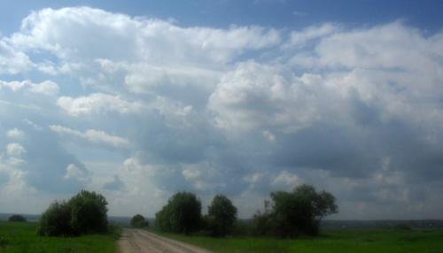 SDC13910.jpg