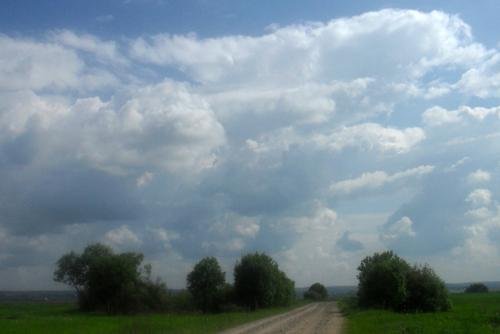 SDC13910.jpg