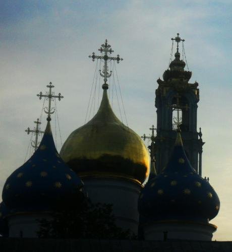 SDC14375.jpg