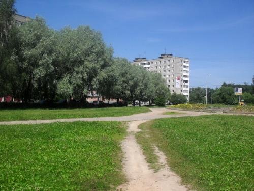 SDC14419.jpg