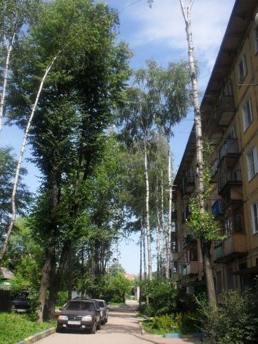 SDC14429.jpg