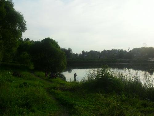 SDC14283.jpg