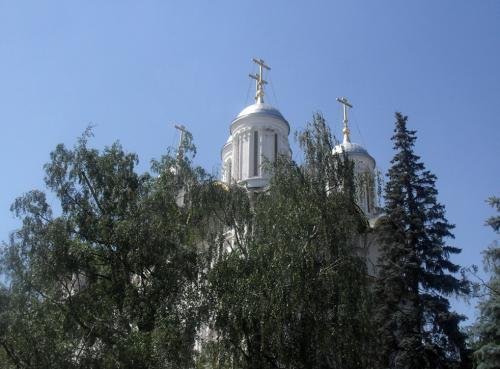 SDC14490.jpg