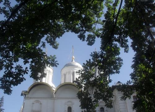SDC14555.jpg