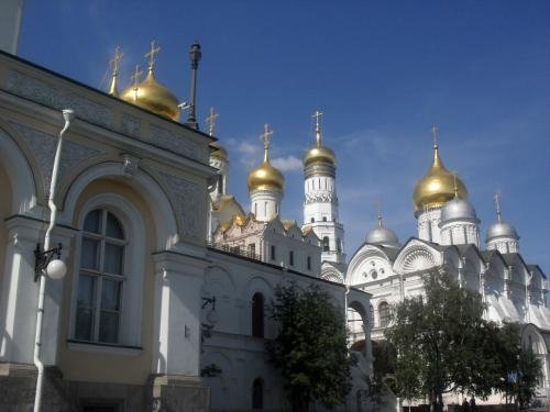 SDC14544.jpg