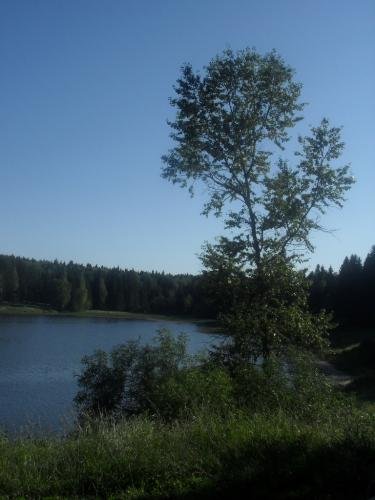 SDC14624.jpg