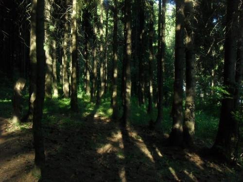 SDC14656.jpg