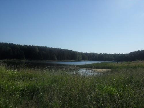 SDC14604.jpg