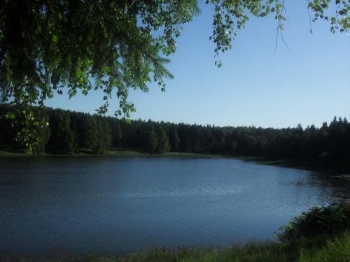 SDC14618.jpg