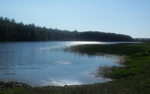 SDC14717.jpg