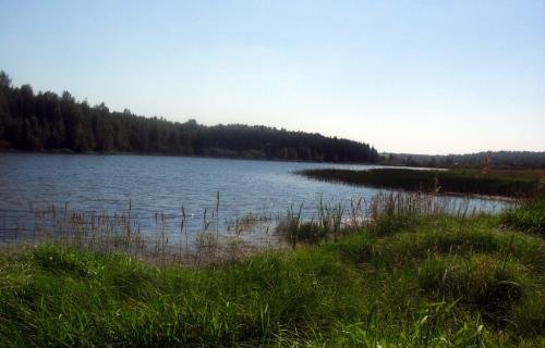 SDC14736.jpg