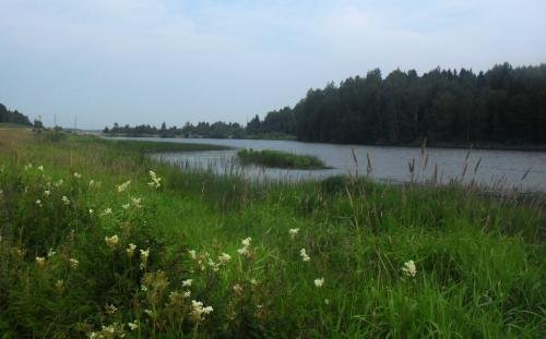 SDC14870.jpg