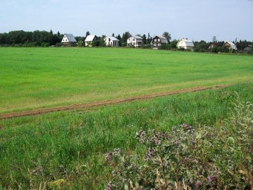 SDC14926.jpg