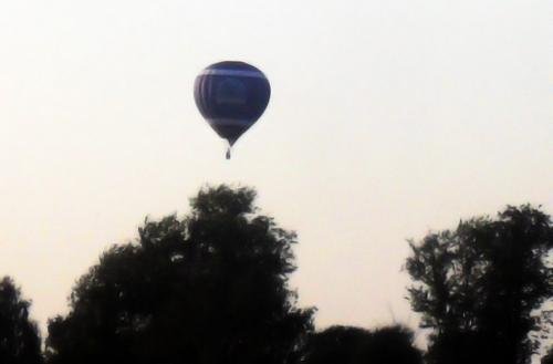 SDC15121.jpg