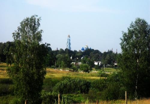 SDC15114.jpg