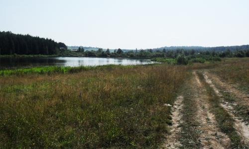 SDC15380.jpg